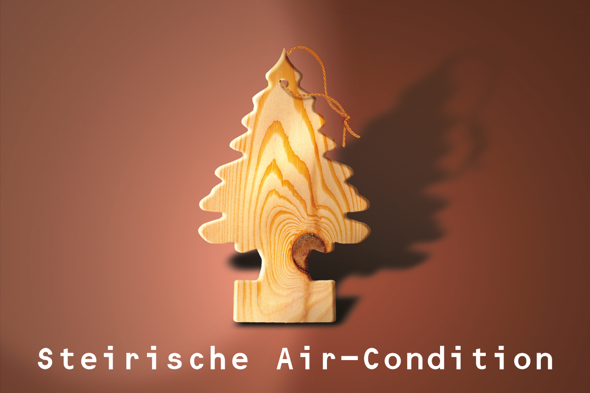 Auf dem Mock-Up ist eine Air-Condition aus steirischem Holz grafisch dargestellt.