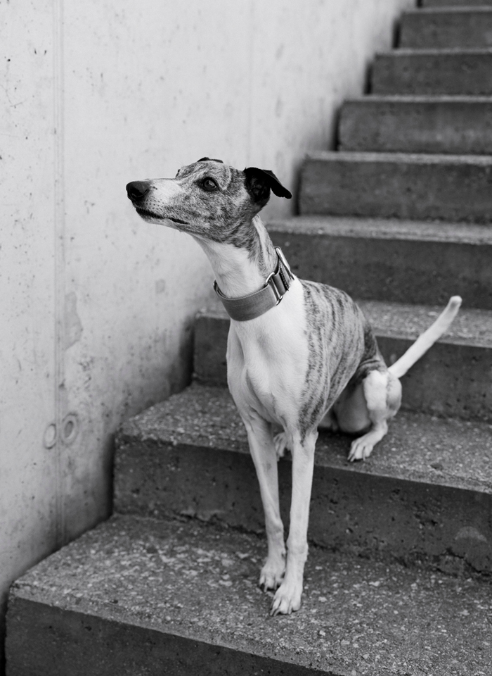 ©MarijaKanizaj Heike